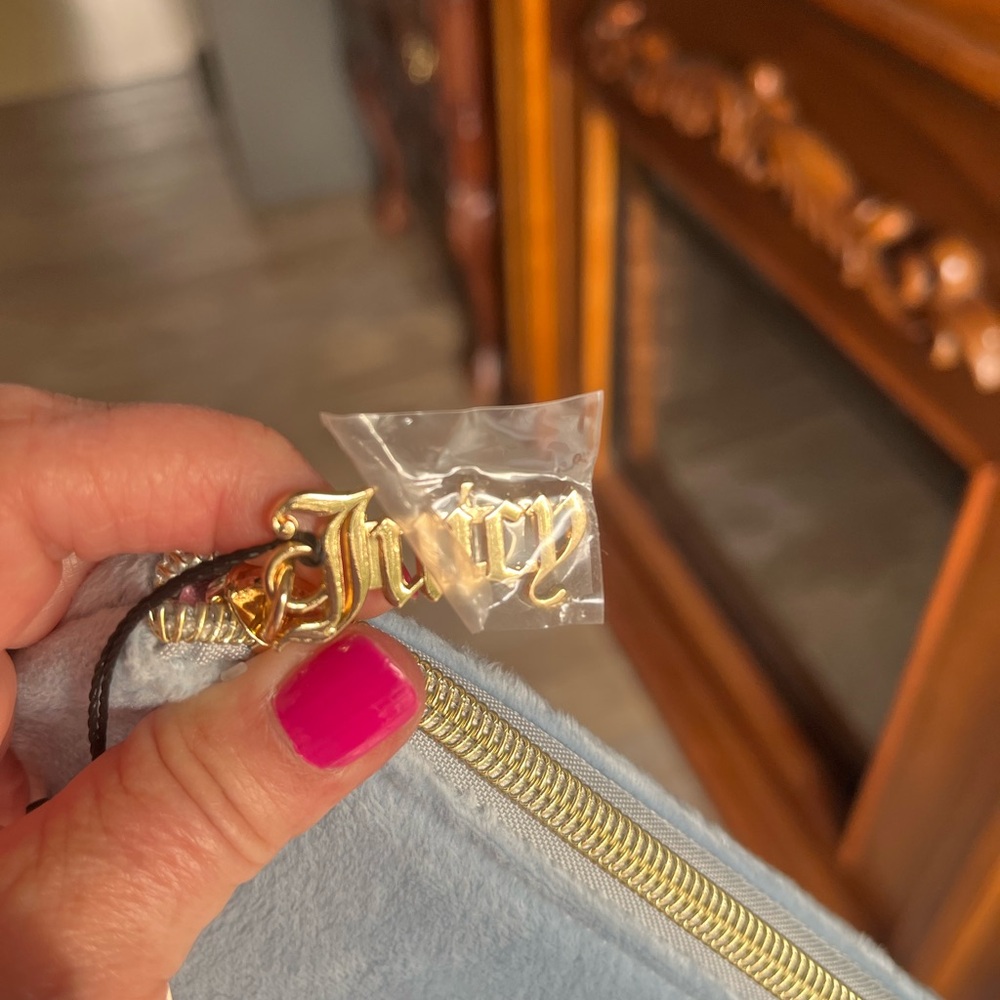 Juicy Light Blue Velour Pouch with Gold Zipper - Picture 4 of 8